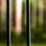 Detenuti presenti e capienza regolamentare degli istituti penitenziari ,la situazione al 31 maggio 2024