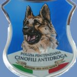 Carabinieri  con il supporto dell’unità cinofila della Polizia Penitenziaria  effettuano controlli antidroga..